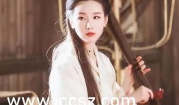 九九九精品视频,揭秘精彩瞬间，尽享视听盛宴